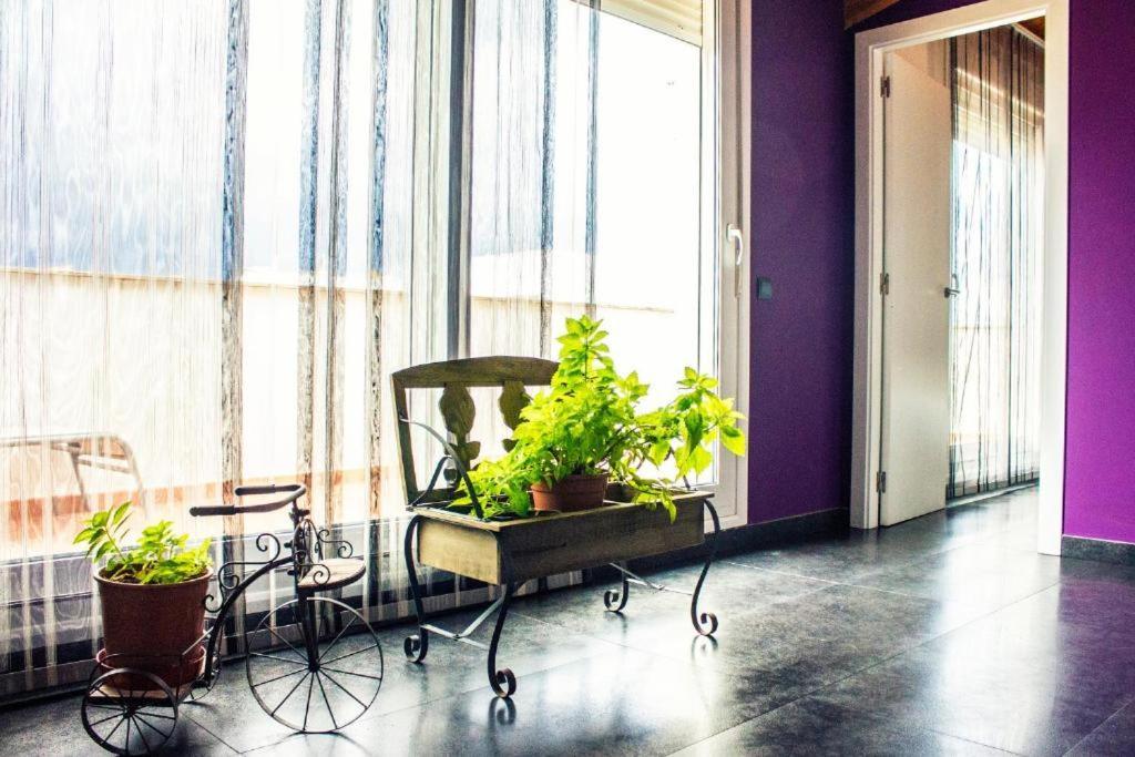 Apartamento Con Estilo Y Acogedor Sant Mateu Exteriör bild